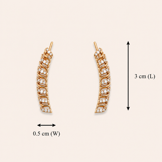 Hema Valli Ear Climber